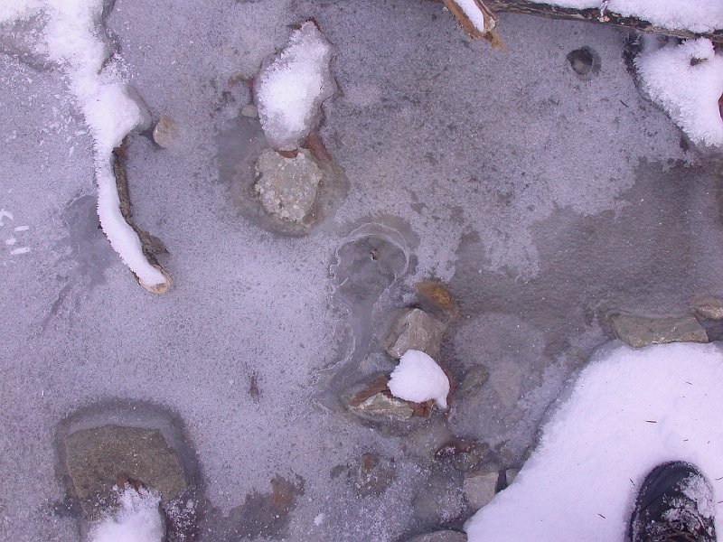 Winter in Bohinj, Slovenia - 18.JPG